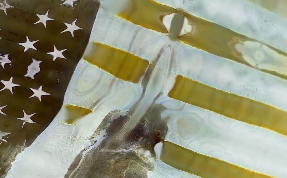 a faded US flag with warped stars and a bone appears in the center