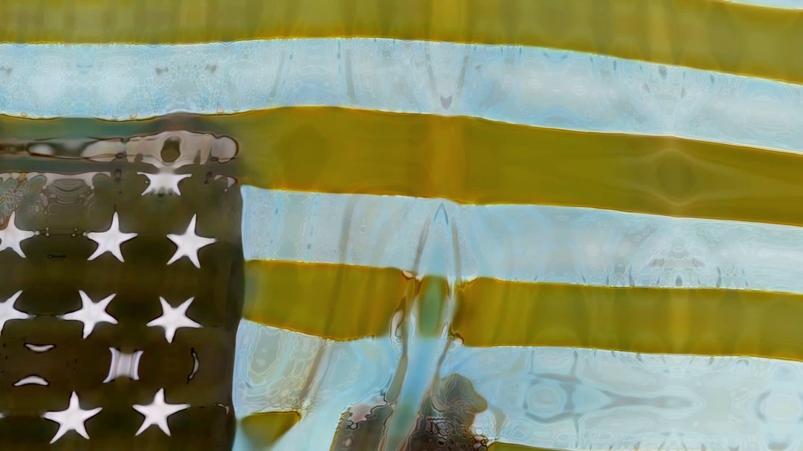 Bone Flag - a faded US flag turns into a bone in the sky